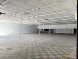 913 Ash Street - Photo 11