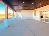 10831 Peggy Lane - Photo 24