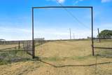 11700 Deer Trail - Photo 48