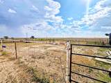 14505 County Road 21 - Photo 35