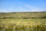  Bar T Ranch - Photo 13