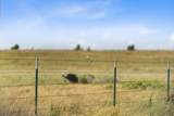  Bar T Ranch - Photo 14