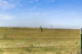  Bar T Ranch - Photo 15