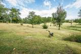 114 Walnut Creek Road - Photo 11