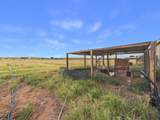 33400 Sierrita Circle - Photo 24