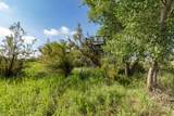  Spring Creek 320 Ac - Photo 13