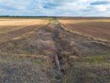  Spring Creek 320 Ac - Photo 31