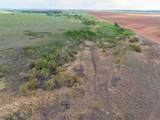  Spring Creek 320 Ac - Photo 32