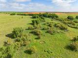  Spring Creek 320 Ac - Photo 37