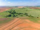  Spring Creek 320 Ac - Photo 51