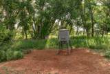  Spring Creek 320 Ac - Photo 7