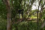  Spring Creek 320 Ac - Photo 8