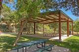 351 Cactus Drive - Photo 46