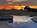 351 Cactus Drive - Photo 61