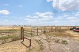 11200 Trinidad Street - Photo 55
