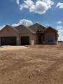 18051 Colt Street - Photo 3