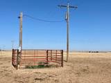 19900 Country Club Road - Photo 44