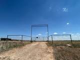 0 Bushland Road - Photo 3