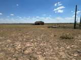 0 Bushland Road - Photo 6