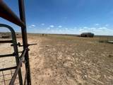 0 Bushland Road - Photo 7