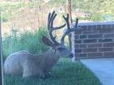 103 Ranch Parkway - Photo 98