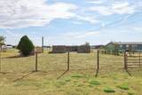 11817 Ls Trail - Photo 31