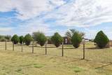 11817 Ls Trail - Photo 5