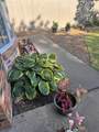 7210 Gainsborough Road - Photo 60