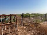  Mayfield Road - Photo 6