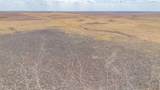  Buffalo Lake Rd. Auction - Photo 15