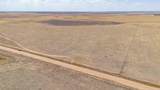  Buffalo Lake Rd. Auction - Photo 21