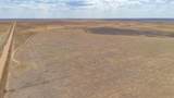  Buffalo Lake Rd. Auction - Photo 22