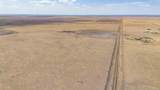  Buffalo Lake Rd. Auction - Photo 3
