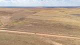  Buffalo Lake Rd. Auction - Photo 34