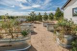 1407 Waggoner Ranch Road - Photo 84