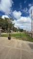 4201 King Avenue - Photo 3