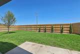 917 White Tail Lane - Photo 17