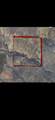  161.75 Acres Motley Co - Photo 3