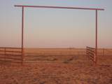38801 Goathead Road Road - Photo 10