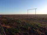 38801 Goathead Road Road - Photo 11