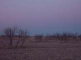 38801 Goathead Road Road - Photo 12