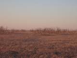 38801 Goathead Road Road - Photo 13