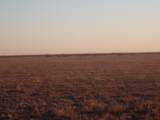38801 Goathead Road Road - Photo 14