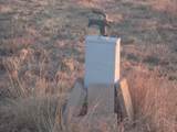 38801 Goathead Road Road - Photo 16