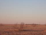 38801 Goathead Road Road - Photo 21
