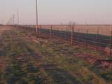 38801 Goathead Road Road - Photo 22