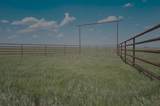 38801 Goathead Road Road - Photo 3