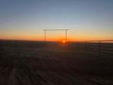 38801 Goathead Road Road - Photo 8