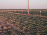 38801 Goathead Road Road - Photo 9