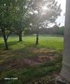 3 Sutton Place - Photo 44